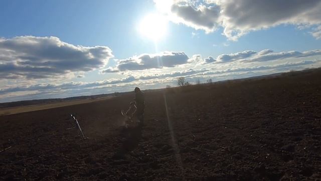 Скифский амулет колесо удачи отКОПали - коп с xp Deus в полях смотреть онлайн