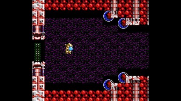 Abadox: The Deadly Inner War (Last Life # 081 (056-2))