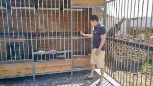 Вольер для собак модели - Алабай. Aviary for dogs of the model-Alabai, with a booth and walking.