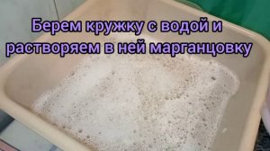 Реально ли с помощью марганцовки вернуть белизну вещам?