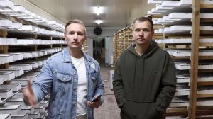 Что будет с производством термопанелей через год? Стоит ли открывать производство сейчас?