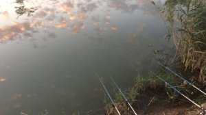 Рыбалка в Крыму. 11.08.2020 пгт Гвардейское на платнике.