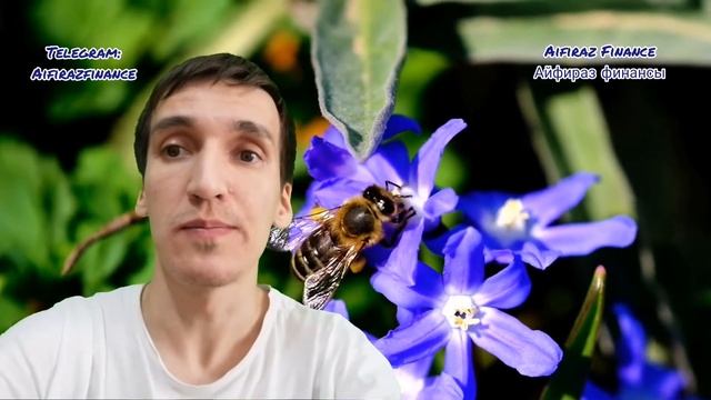 45. В ЧЁМ ОПАСНОСТЬ ОКАЗАТЬСЯ ДРОПОМ. КТО ТАКИЕ ДРОПЫ ЧТО ИМ ГРОЗИТ. Aifiraz Finance Айфираз финанс смотреть онлайн