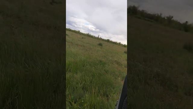 Aria ap-d1000 моноблок усилитель звука и machete m12d2 смотреть онлайн