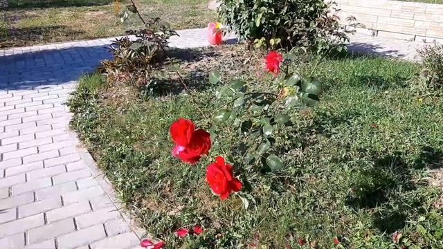 Продолжение переделки для Екатерины из Волгограда. Серия 5. Амазонитовое украшение смотреть онлайн