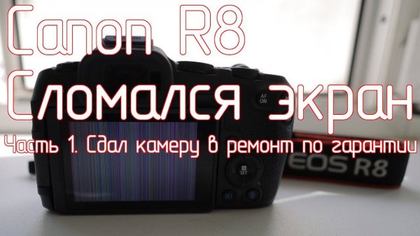 Canon R8. Сломался экран. Часть 1. Сдал камеру в ремонт по гарантии