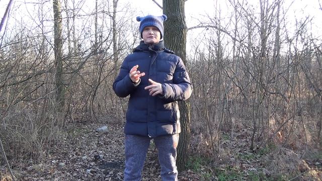 Помощь и набор энергии от деревьев. Стихия дерева ? смотреть онлайн