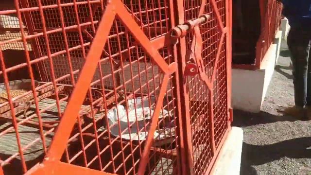 volg 2024 смотреть онлайн