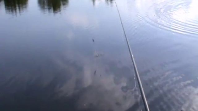 ловля карася июнь Тверь черта города,обзор китайской удочки смотреть онлайн