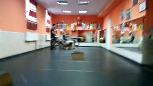 Домовята на занятии 08 02 2018 смотреть онлайн