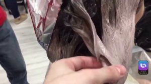 Как сделать пепельный блонд и омбре. Шатуш. Балаяж.