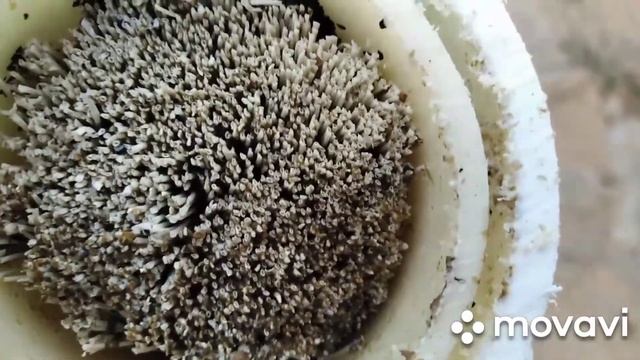 Фильтр для воды "Аквафор кристалл эко н".Что внутри? После года использования. смотреть онлайн