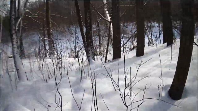 Почему нет рыбаков на речке и озере? смотреть онлайн