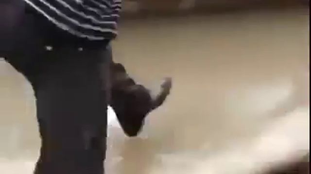 Лужа.mp4 смотреть онлайн