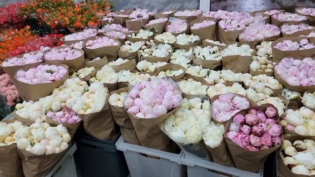 Обзор ассортимента пионов FreshFlower смотреть онлайн