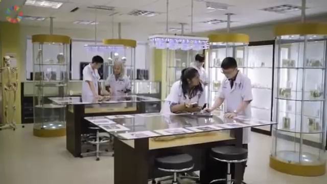 QI Group Построение устойчивого мира с помощью RYTHM смотреть онлайн