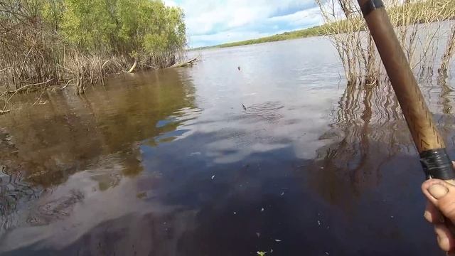 р. Чая. Рыбачим и ловим ... смотреть онлайн