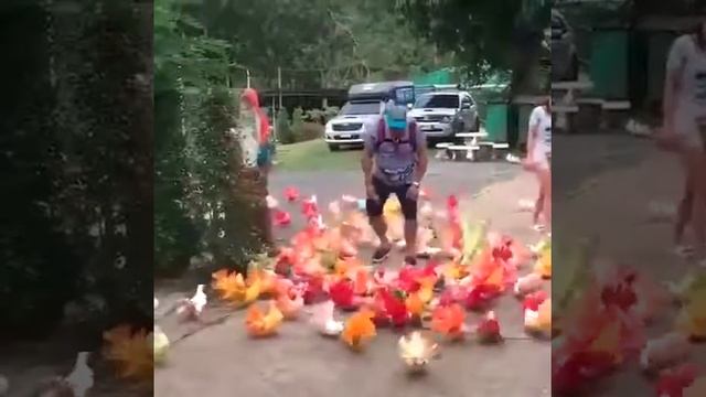 Радужные птицы смотреть онлайн