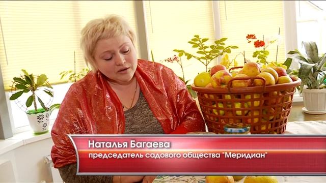 Стройка Мечты