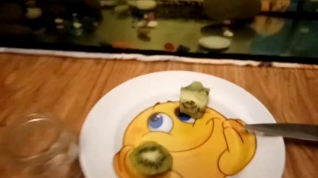Киви и обзор аквариума смотреть онлайн