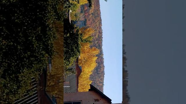 унылая пора, очей очарованье ?? смотреть онлайн