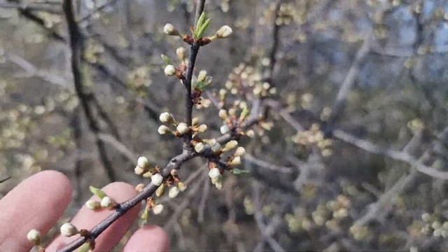 Достопримечательности Рязанской области. Часть 1. смотреть онлайн