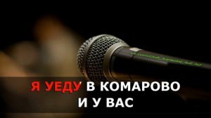 Игорь Скляр - Комарово караоке
