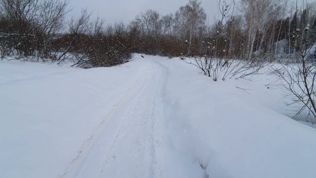 Восточный Казахстан Тарханские Дачи Непролазный Снег ❄️ Но Замечательный Свежий воздух смотреть онлайн