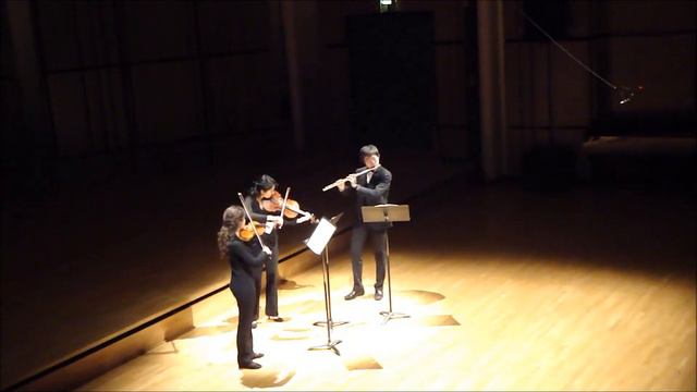 Ludwig van Beethoven Serenade Op.25 for flute violin and viola смотреть онлайн