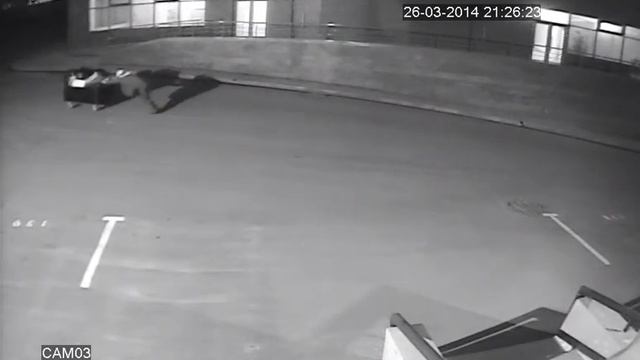 Видео TBC-A1372IR Ночь смотреть онлайн