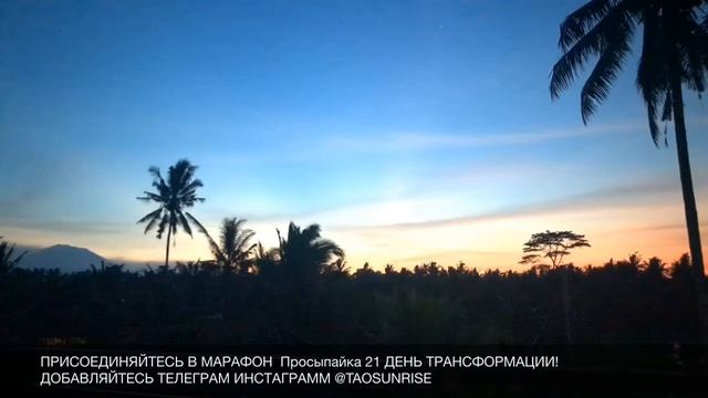 Марафон твоей трансформации @taosunrise с @marinapulia! смотреть онлайн