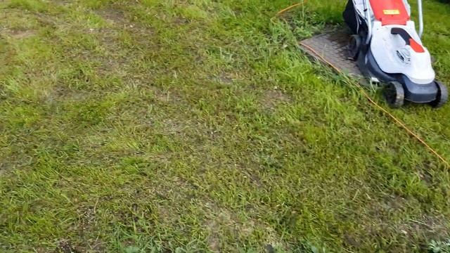 Газон из Леруа спустя месяц смотреть онлайн