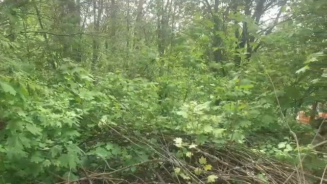 Жуково 1525 смотреть онлайн