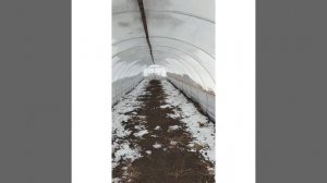 Теплица балаган своими руками , теплица из профильной трубы , теплица бюджетная своими руками