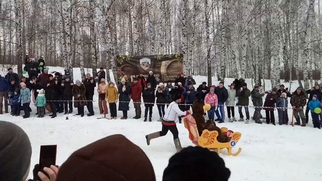 ОРИГИНАЛЬНЫЕ САНИ Лысогорские Санки 2020 Фестиваль санок в Тамбовской области смотреть онлайн