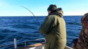 Морская рыбалка в Териберке . ( Открытие сезона )