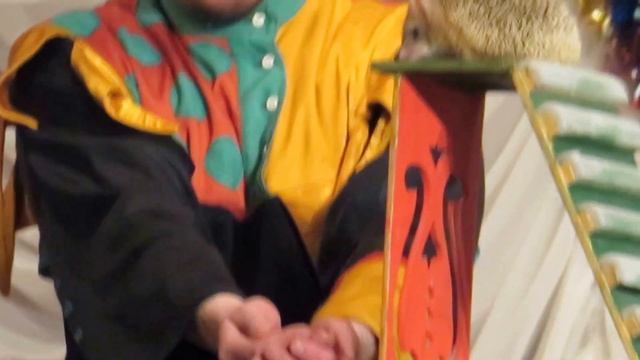 Дрессированный (!) Ёж! Фрагмент 2 - Новогодняя елка в стенах родной компании