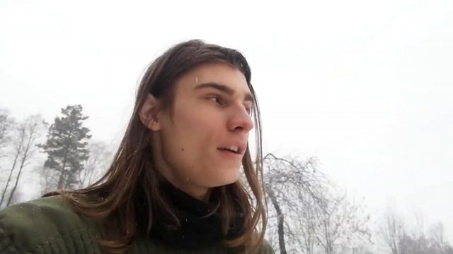 ВЫЖИВАНИЕ ЗИМОЙ на даче. Лес, снег и маринованный имбирь. Умные мысли смотреть онлайн