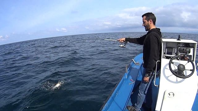 Ariego, pez escorpión (Trachinus draco) смотреть онлайн