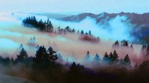 Into Your Arms - Witt Lowry||1 hour version||ft.Ava Max||No Rap||8dAudio||Use Headphones🎧||Lyrics