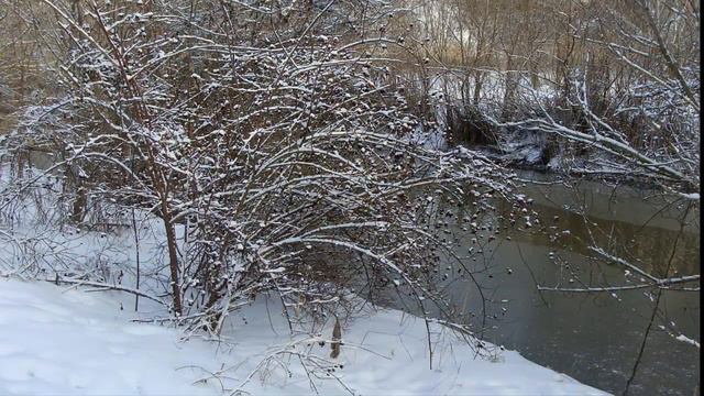 В гости к зиме 25 01 18г смотреть онлайн