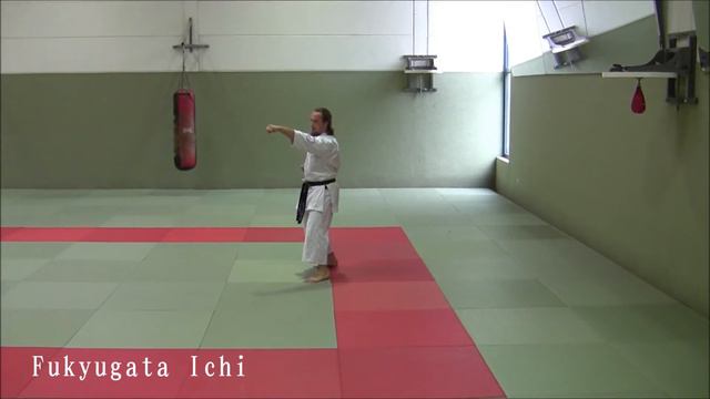 Fukyugata Ichi And Ni - Ryukyu Shorin Ryu Karate Do Tesshinkan