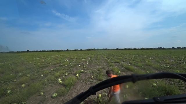 Арбузный рай? // Понадобился трактор в поле // Даже на самосвале по таким дорогам не ездил?.. смотреть онлайн