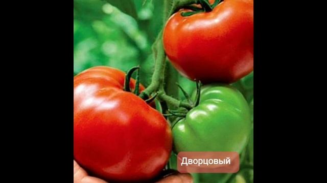 Детерминантные. смотреть онлайн