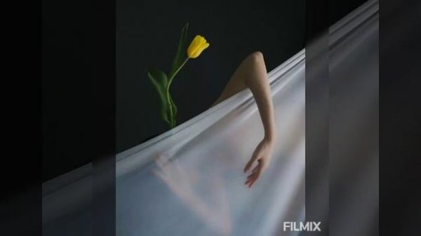 Тимур Татарашвили Хочу тебя видеть   video Marina Mart