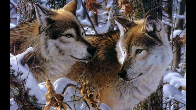 Сказка Волк и волчица смотреть онлайн