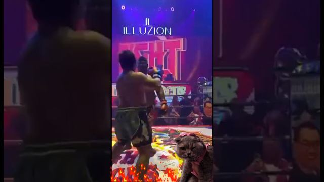 Прикол.Улётный нокаут)) Шуточный ролик. .#shorts смотреть онлайн