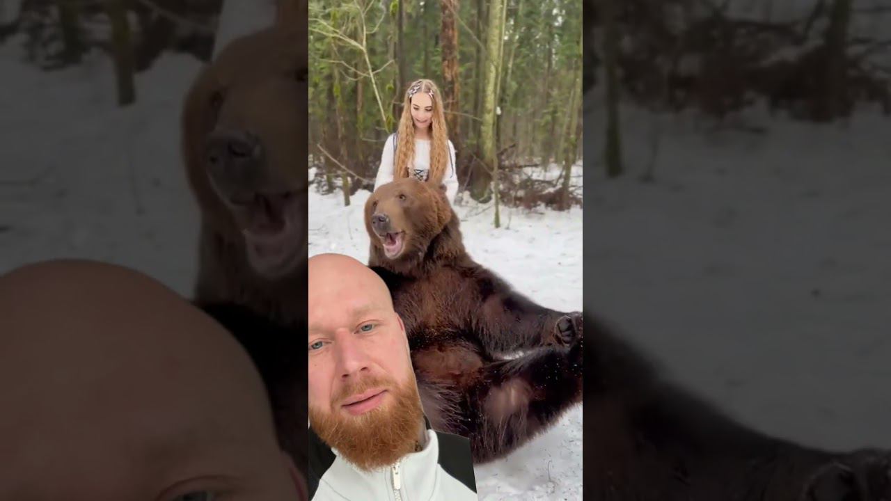 Они красивые, но очень опасные… смотреть онлайн