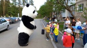 Панда танцует