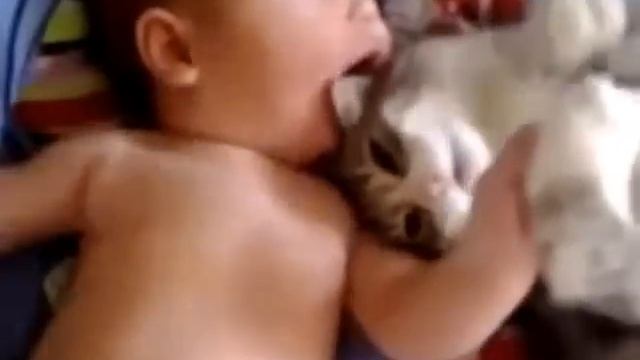 Ребёнок и Котёнок ДРУЗЬЯ с ДЕТСТВА !! смотреть онлайн